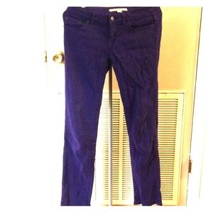 Purple straight jeans